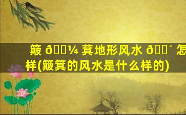 簸 🐼 萁地形风水 🐴 怎样(簸箕的风水是什么样的)